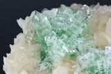 Green Apophyllite Flowers on Stilbite Crystals - India #176819-2